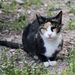 20081122_barcelonatrip_23_tarragona_cat